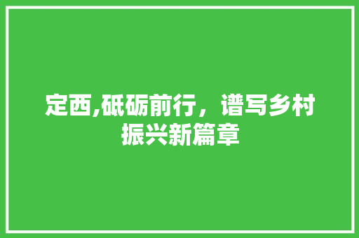 定西,砥砺前行，谱写乡村振兴新篇章