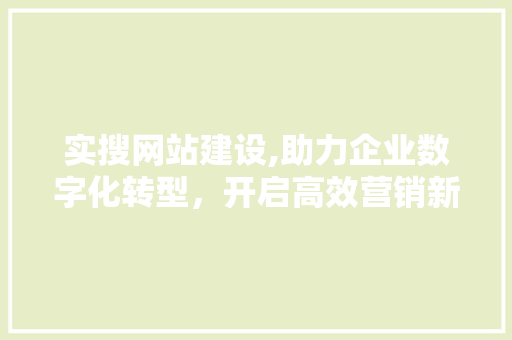 实搜网站建设,助力企业数字化转型，开启高效营销新篇章