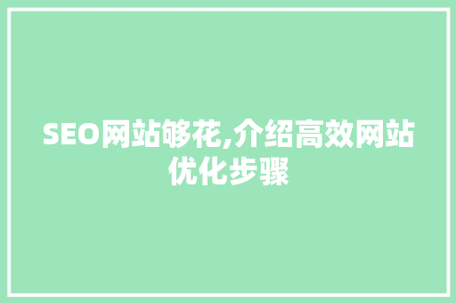 SEO网站够花,介绍高效网站优化步骤 SEO网站够花,介绍高效网站优化步骤 WordPress教程