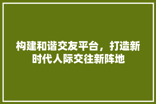 构建和谐交友平台，打造新时代人际交往新阵地 建站教程