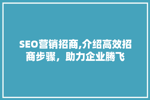 SEO营销招商,介绍高效招商步骤，助力企业腾飞