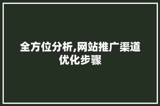 全方位分析,网站推广渠道优化步骤