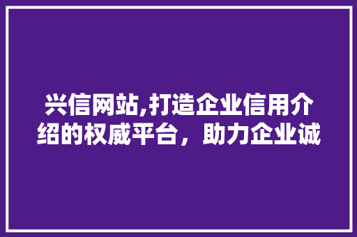 兴信网站,打造企业信用介绍的权威平台，助力企业诚信发展