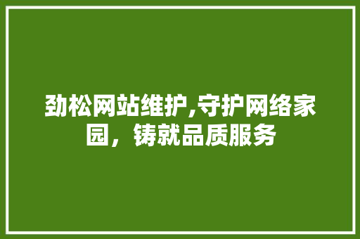 劲松网站维护,守护网络家园，铸就品质服务 友链在线