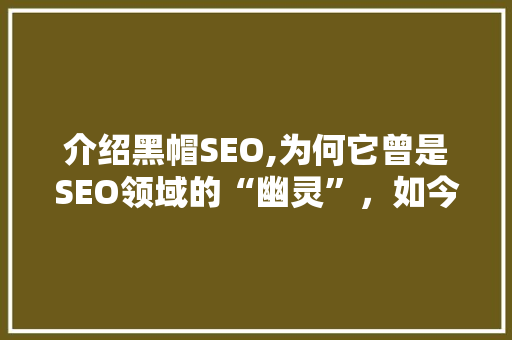介绍黑帽SEO,为何它曾是SEO领域的“幽灵”，如今却渐行渐远