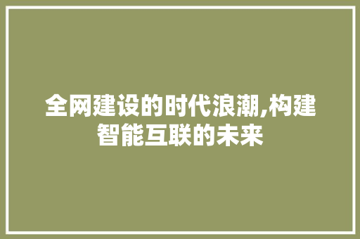 全网建设的时代浪潮,构建智能互联的未来