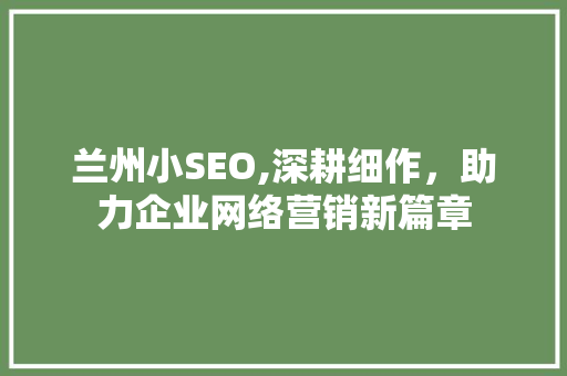 兰州小SEO,深耕细作，助力企业网络营销新篇章 友链在线