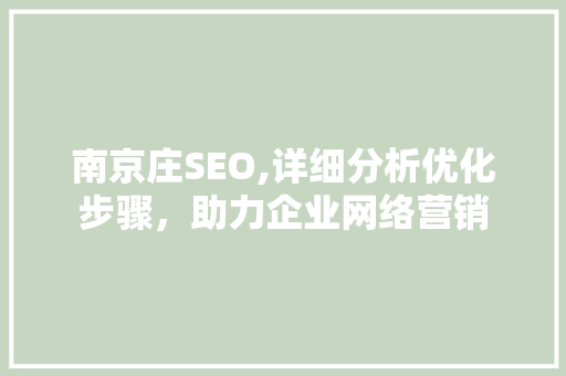 南京庄SEO,详细分析优化步骤，助力企业网络营销 Web前端