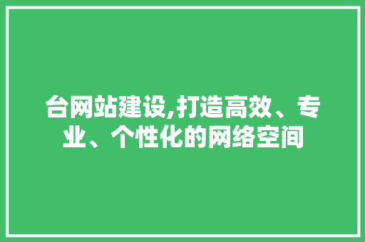 台网站建设,打造高效、专业、个性化的网络空间