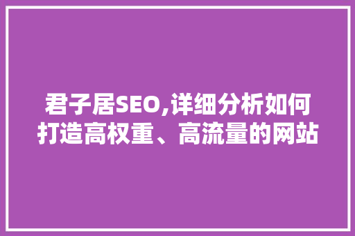 君子居SEO,详细分析如何打造高权重、高流量的网站