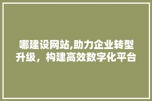 哪建设网站,助力企业转型升级，构建高效数字化平台