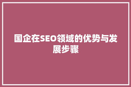 国企在SEO领域的优势与发展步骤