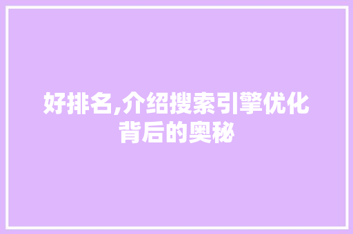 好排名,介绍搜索引擎优化背后的奥秘
