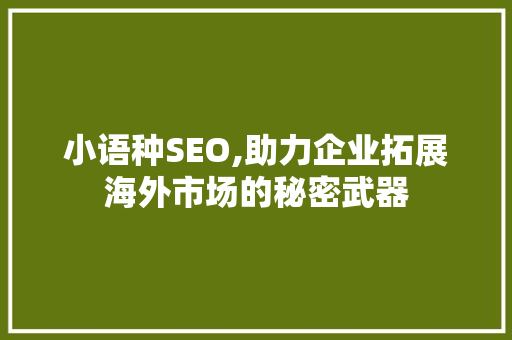 小语种SEO,助力企业拓展海外市场的秘密武器 Web前端