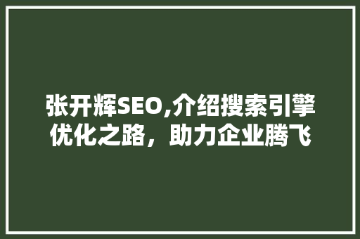 张开辉SEO,介绍搜索引擎优化之路，助力企业腾飞