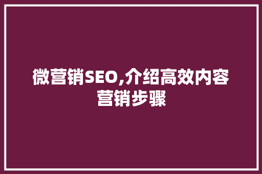 微营销SEO,介绍高效内容营销步骤