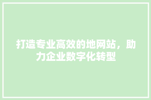 打造专业高效的地网站，助力企业数字化转型