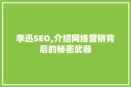 李迅SEO,介绍网络营销背后的秘密武器 SEO教程