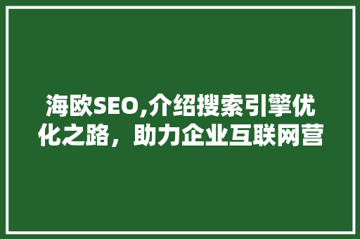 海欧SEO,介绍搜索引擎优化之路，助力企业互联网营销