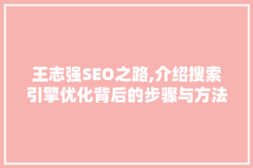 王志强SEO之路,介绍搜索引擎优化背后的步骤与方法