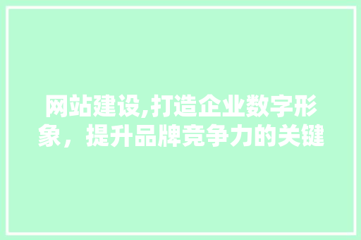 网站建设,打造企业数字形象，提升品牌竞争力的关键途径 SEO教程