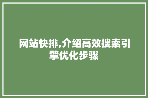 网站快排,介绍高效搜索引擎优化步骤