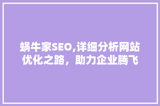 蜗牛家SEO,详细分析网站优化之路，助力企业腾飞