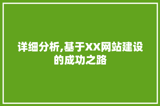 详细分析,基于XX网站建设的成功之路