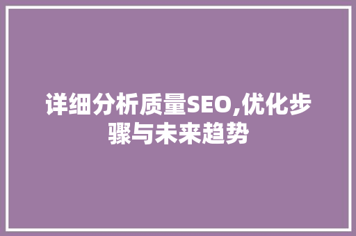 详细分析质量SEO,优化步骤与未来趋势 SEO教程