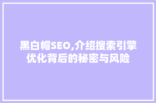 黑白帽SEO,介绍搜索引擎优化背后的秘密与风险