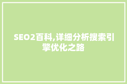 SEO2百科,详细分析搜索引擎优化之路