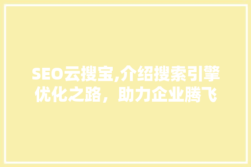 SEO云搜宝,介绍搜索引擎优化之路，助力企业腾飞