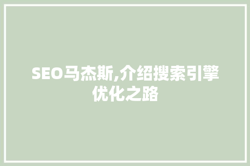 SEO马杰斯,介绍搜索引擎优化之路 WordPress教程