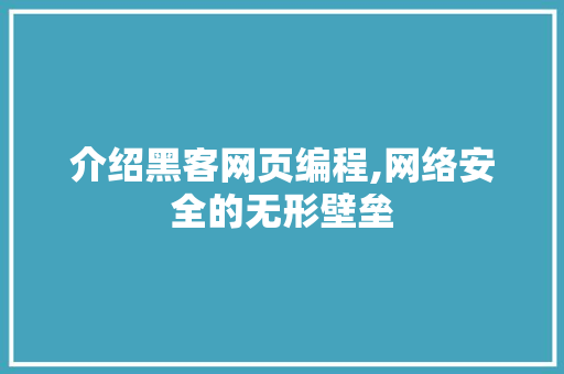 介绍黑客网页编程,网络安全的无形壁垒