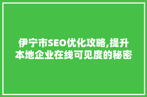 伊宁市SEO优化攻略,提升本地企业在线可见度的秘密武器