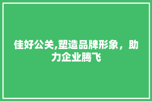 佳好公关,塑造品牌形象，助力企业腾飞