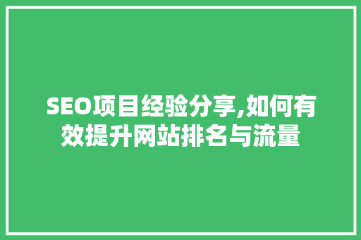 SEO项目经验分享,如何有效提升网站排名与流量