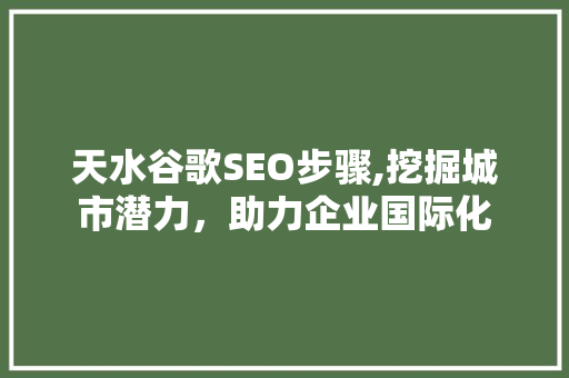 天水谷歌SEO步骤,挖掘城市潜力，助力企业国际化 WordPress教程