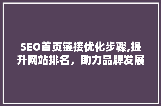 SEO首页链接优化步骤,提升网站排名，助力品牌发展 SEO首页链接优化步骤,提升网站排名，助力品牌发展 友链在线