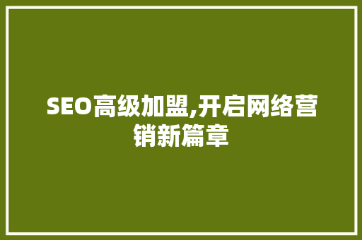 SEO高级加盟,开启网络营销新篇章