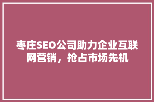 枣庄SEO公司助力企业互联网营销，抢占市场先机