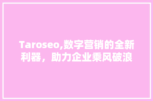 Taroseo,数字营销的全新利器，助力企业乘风破浪