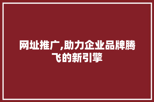 网址推广,助力企业品牌腾飞的新引擎 建站教程