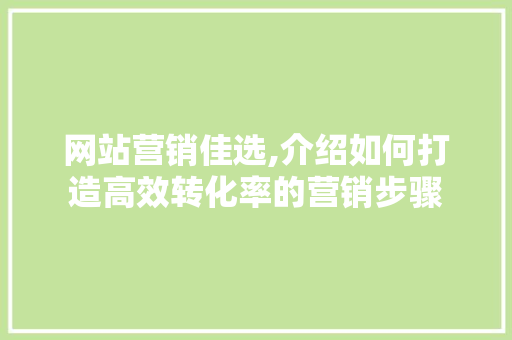 网站营销佳选,介绍如何打造高效转化率的营销步骤