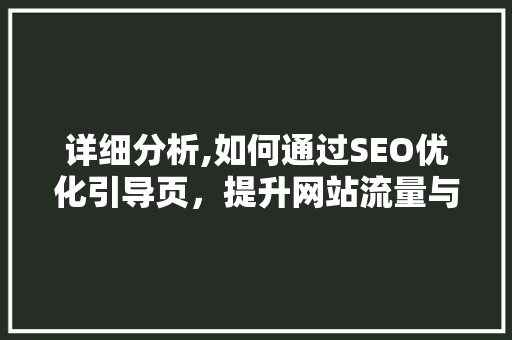 详细分析,如何通过SEO优化引导页，提升网站流量与转化率 WordPress教程