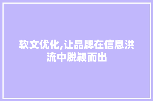 软文优化,让品牌在信息洪流中脱颖而出