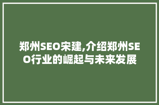 郑州SEO宋建,介绍郑州SEO行业的崛起与未来发展