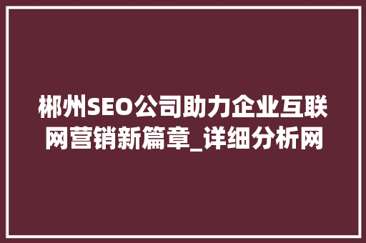 郴州SEO公司助力企业互联网营销新篇章_详细分析网络营销步骤与优势