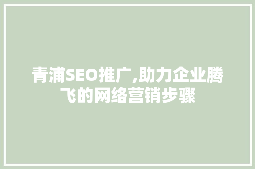 青浦SEO推广,助力企业腾飞的网络营销步骤