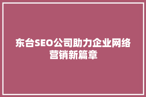 东台SEO公司助力企业网络营销新篇章